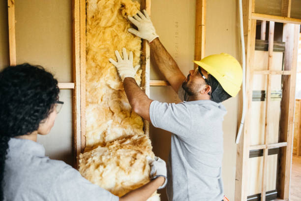 Best Wall Insulation Contractor  in Red Oak, IA